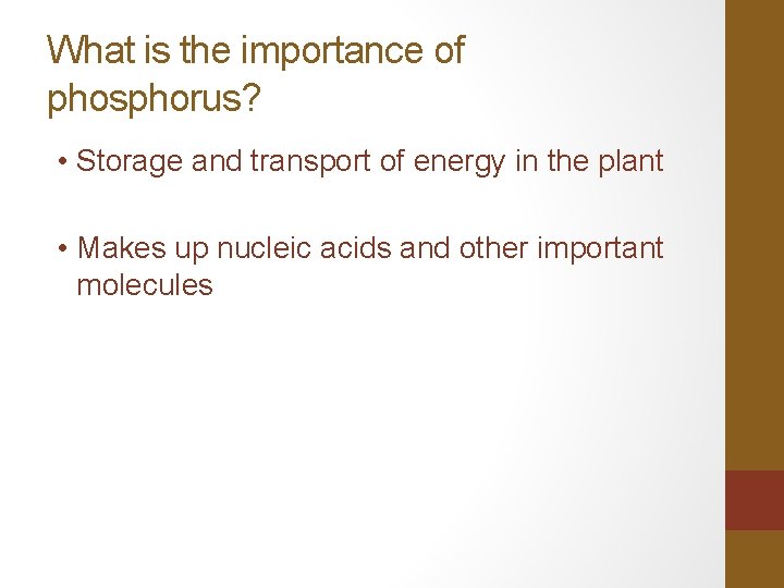 What is the importance of phosphorus? • Storage and transport of energy in the