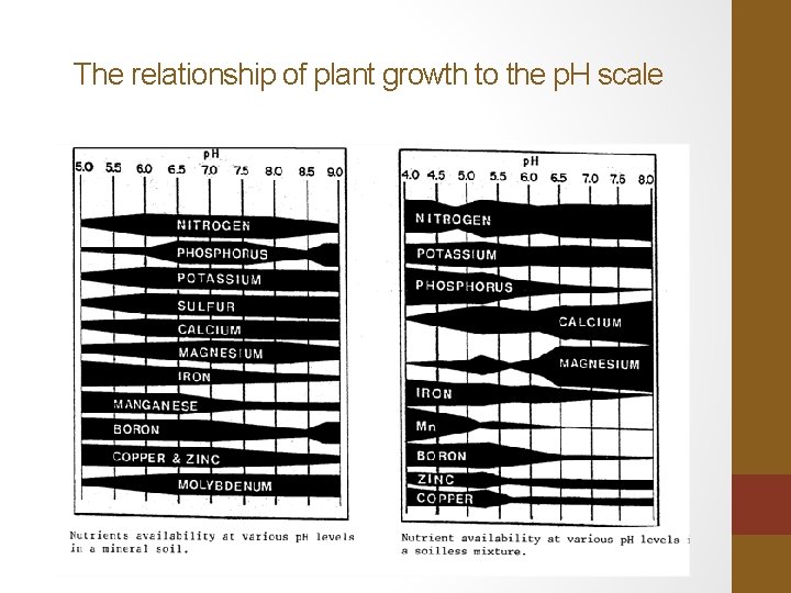 The relationship of plant growth to the p. H scale 