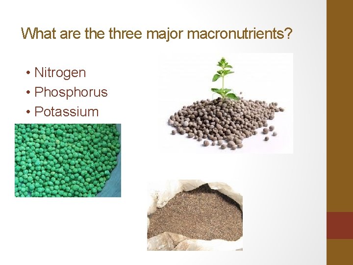 What are three major macronutrients? • Nitrogen • Phosphorus • Potassium 