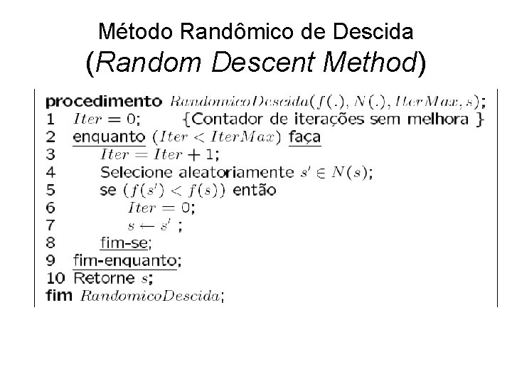 Método Randômico de Descida (Random Descent Method) 