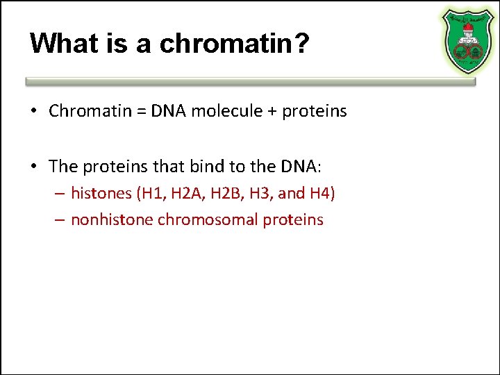 What is a chromatin? • Chromatin = DNA molecule + proteins • The proteins