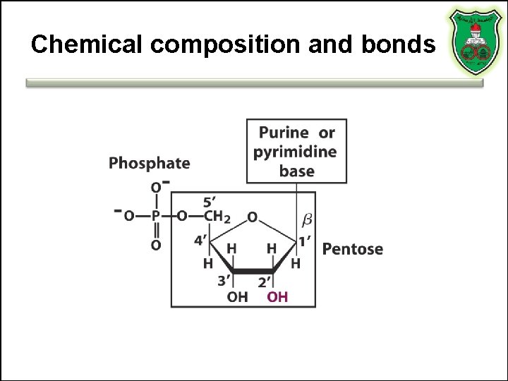 Chemical composition and bonds 