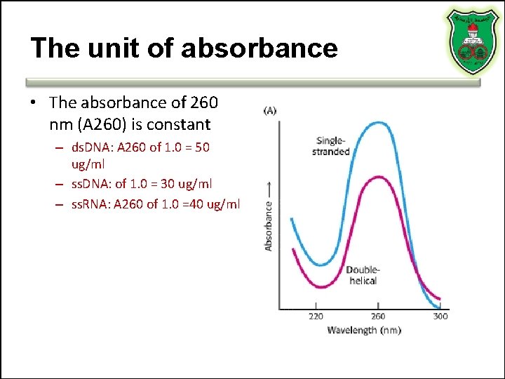 The unit of absorbance • The absorbance of 260 nm (A 260) is constant