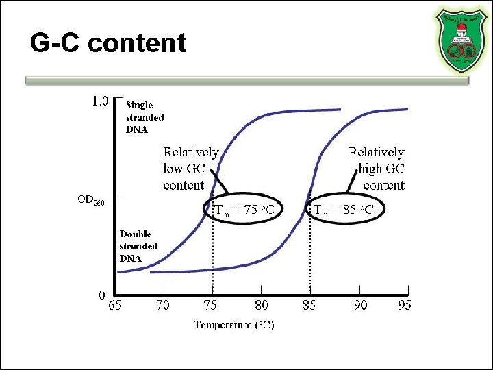 G-C content 