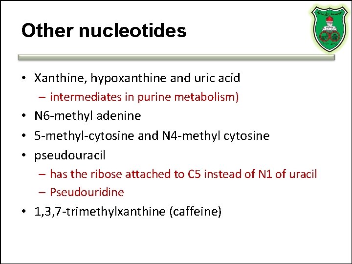 Other nucleotides • Xanthine, hypoxanthine and uric acid – intermediates in purine metabolism) •