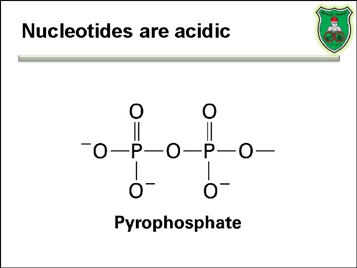 Nucleotides are acidic 