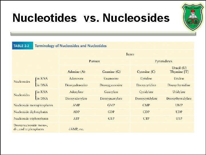 Nucleotides vs. Nucleosides 