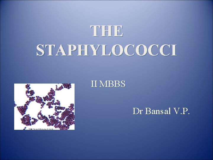 THE STAPHYLOCOCCI II MBBS Dr Bansal V. P. 