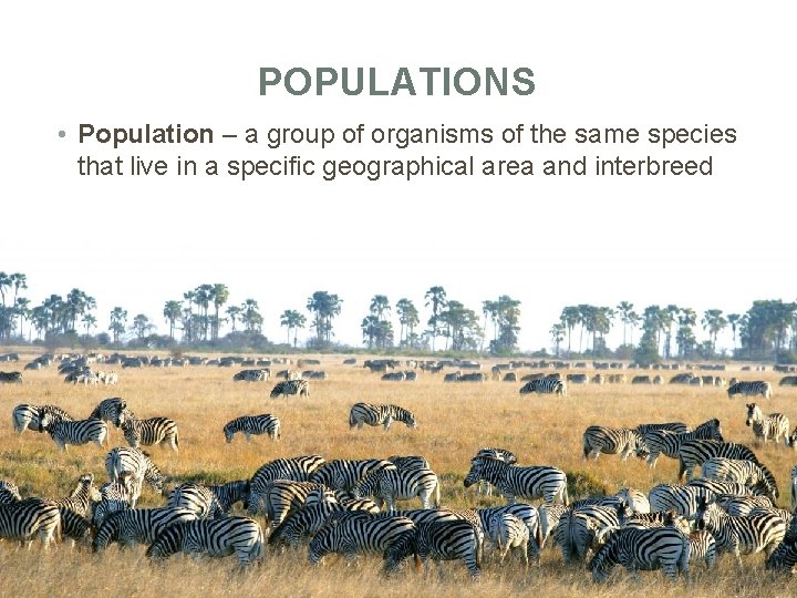 POPULATIONS • Population – a group of organisms of the same species that live