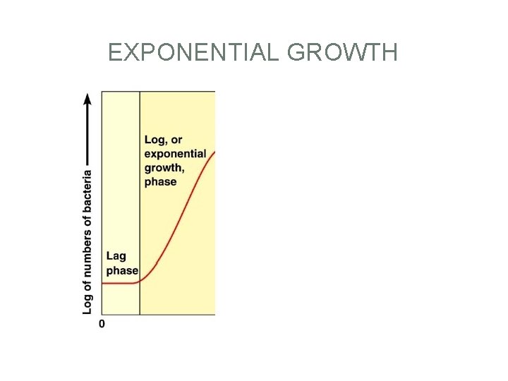 EXPONENTIAL GROWTH 