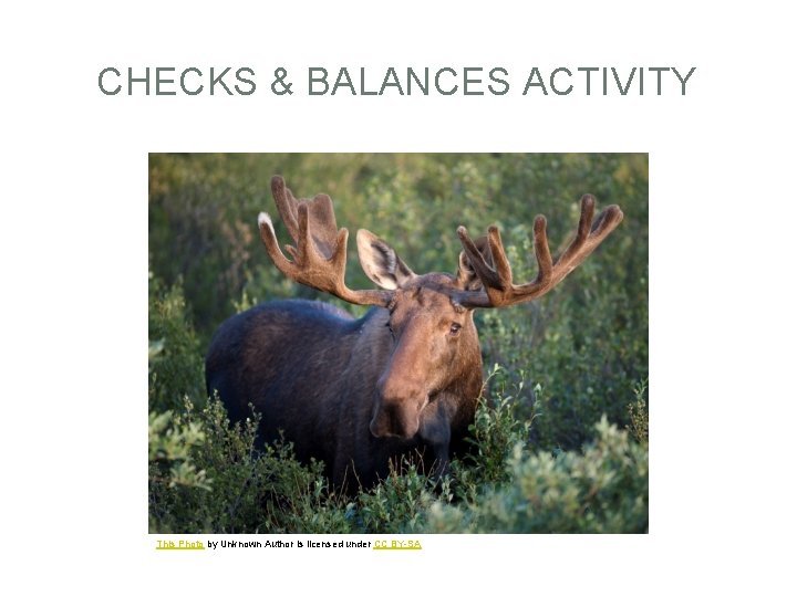 CHECKS & BALANCES ACTIVITY This Photo by Unknown Author is licensed under CC BY-SA