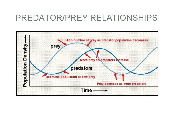 PREDATOR/PREY RELATIONSHIPS 