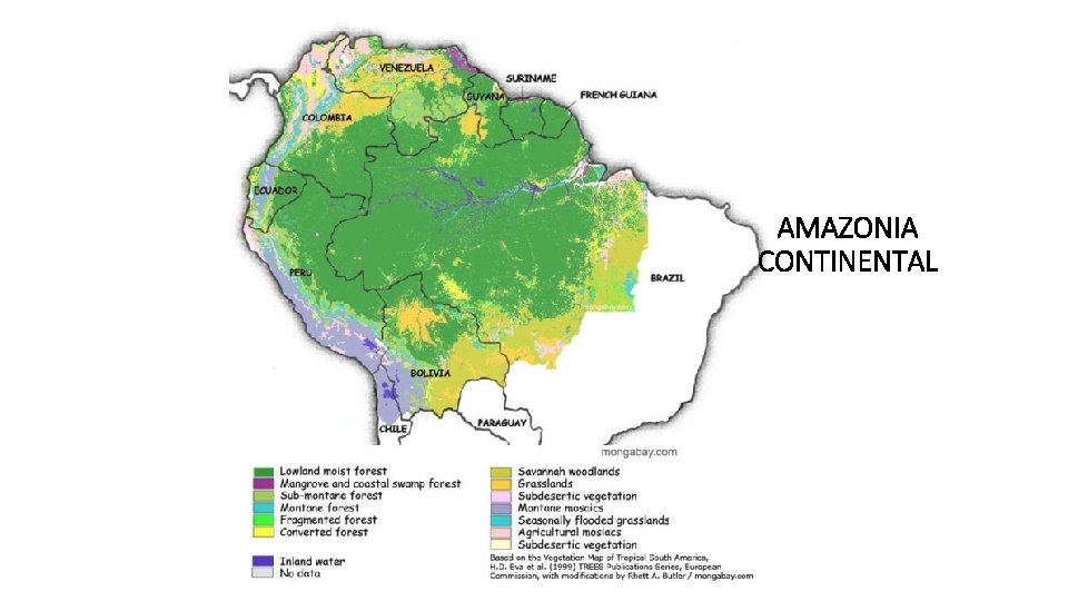 AMAZONIA CONTINENTAL 