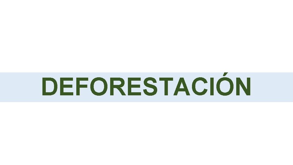 DEFORESTACIÓN 