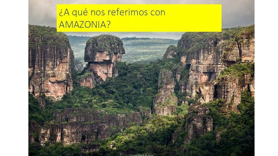 ¿A qué nos referimos con AMAZONIA? 