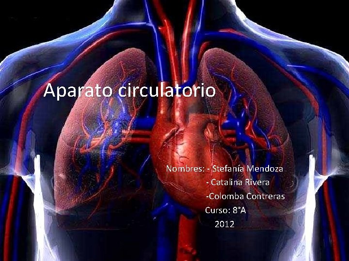 Aparato circulatorio Nombres: - Stefanía Mendoza - Catalina Rivera -Colomba Contreras Curso: 8°A 2012