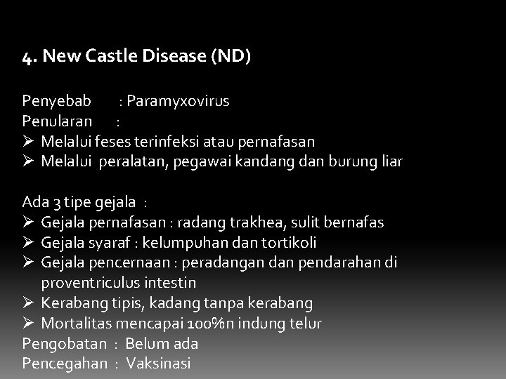 4. New Castle Disease (ND) Penyebab : Paramyxovirus Penularan : Ø Melalui feses terinfeksi