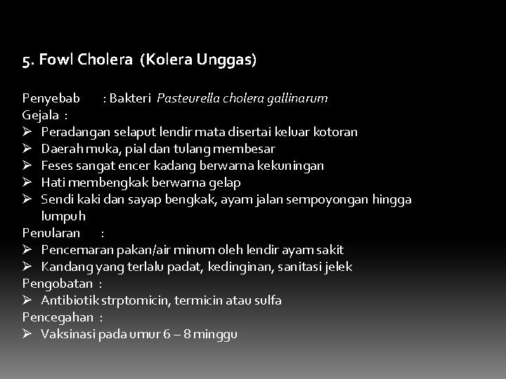 5. Fowl Cholera (Kolera Unggas) Penyebab : Bakteri Pasteurella cholera gallinarum Gejala : Ø