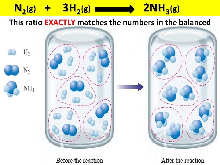 N 2(g) + 3 H 2(g) 2 NH 3(g) This ratio EXACTLY matches the