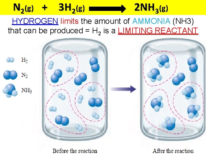 N 2(g) + 3 H 2(g) 2 NH 3(g) HYDROGEN limits the amount of