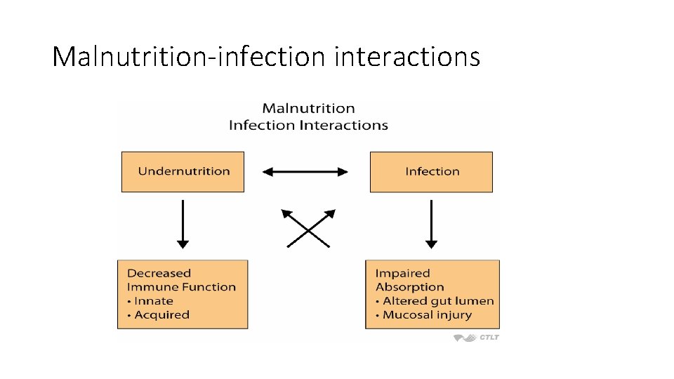Malnutrition-infection interactions 