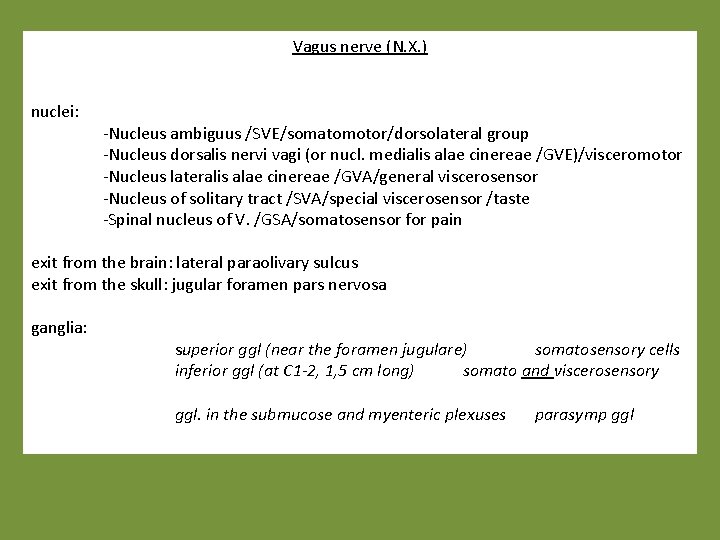 Vagus nerve (N. X. ) nuclei: -Nucleus ambiguus /SVE/somatomotor/dorsolateral group -Nucleus dorsalis nervi vagi