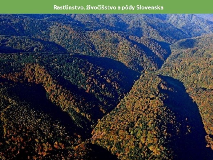 Rastlinstvo, živočíšstvo a pôdy 