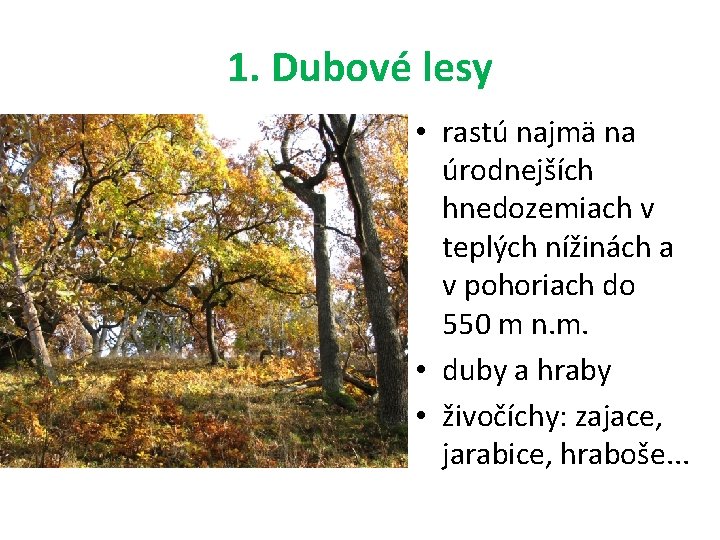 1. Dubové lesy • rastú najmä na úrodnejších hnedozemiach v teplých nížinách a v