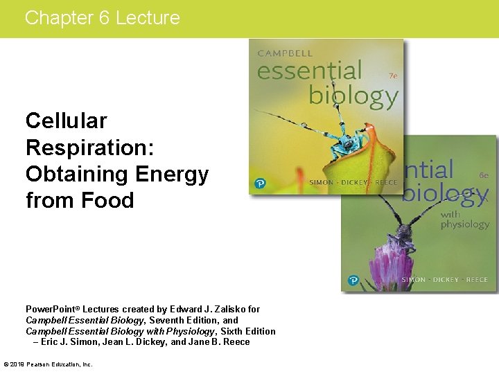 Chapter 6 Lecture Cellular Respiration: Obtaining Energy from Food Power. Point® Lectures created by