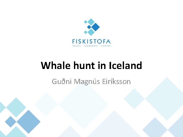 Whale hunt in Iceland Guðni Magnús Eiríksson 