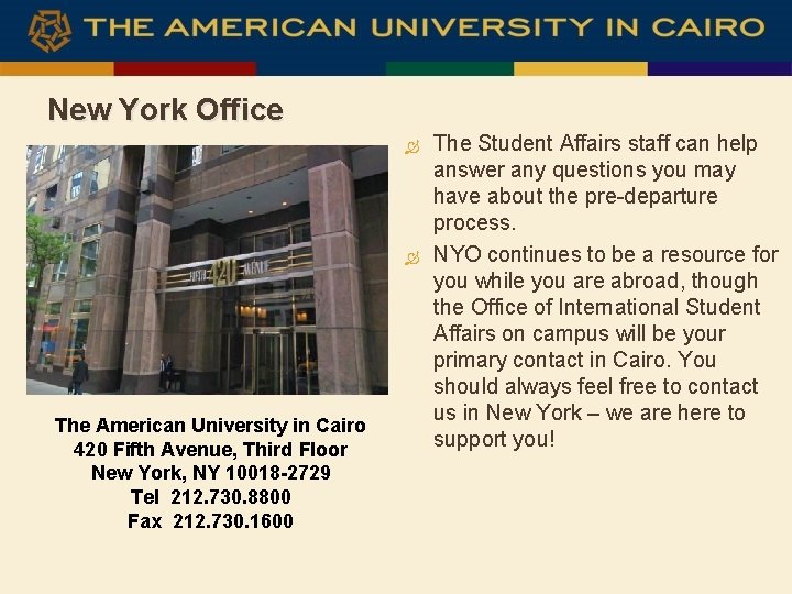 New York Office The American University in Cairo 420 Fifth Avenue, Third Floor New