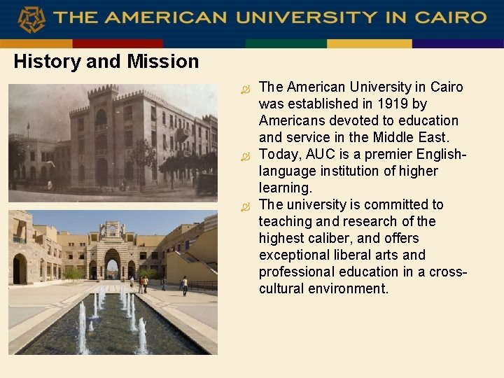 History and Mission The American University in Cairo was established in 1919 by Americans