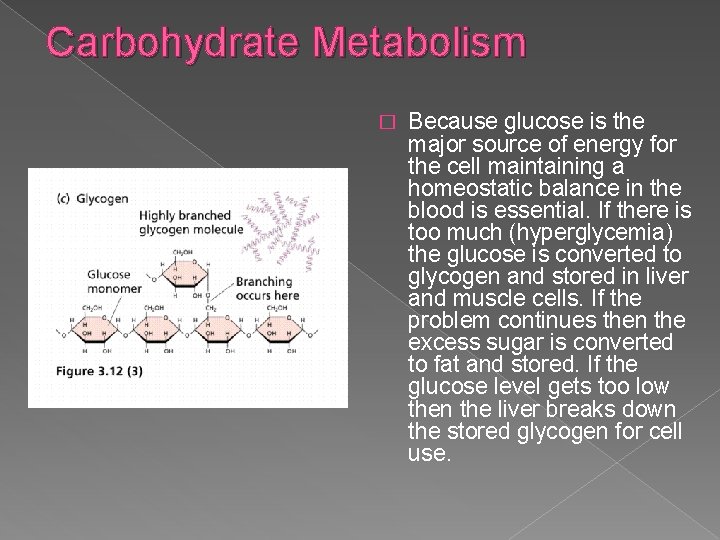 Carbohydrate Metabolism � Because glucose is the major source of energy for the cell