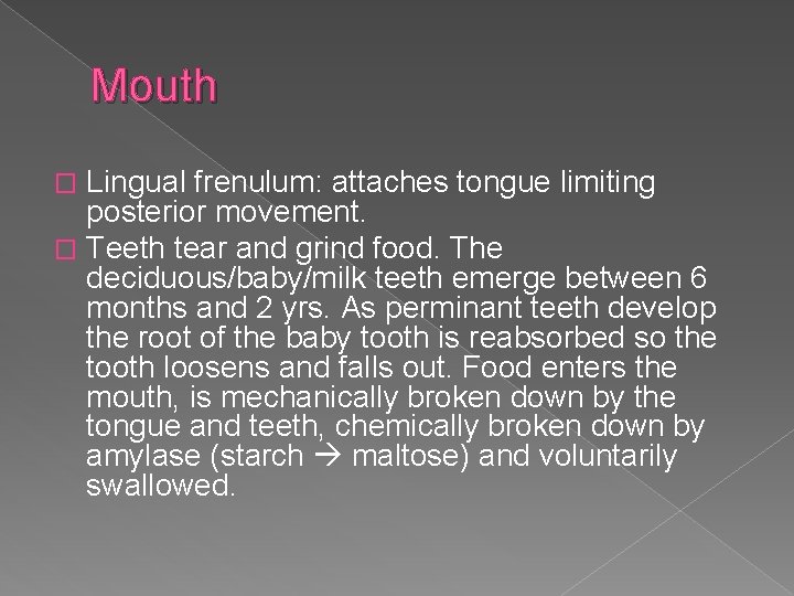 Mouth Lingual frenulum: attaches tongue limiting posterior movement. � Teeth tear and grind food.