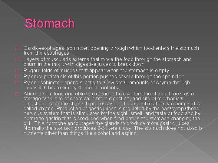 Stomach � � � Cardioesophageal sphincter: opening through which food enters the stomach from