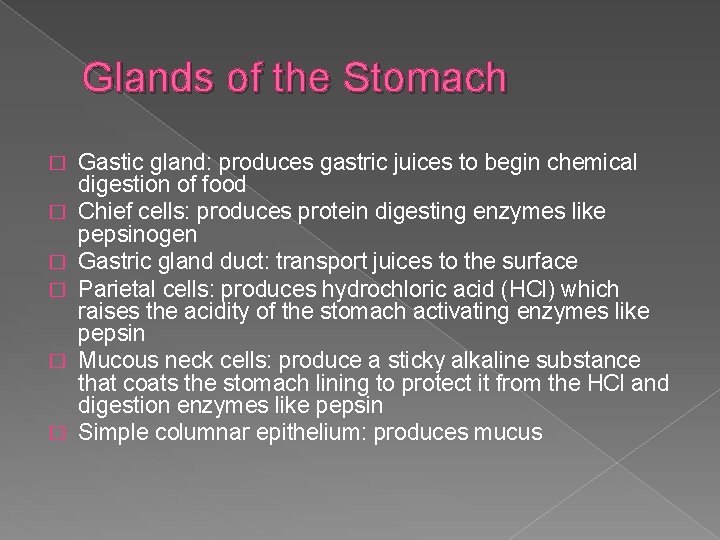 Glands of the Stomach � � � Gastic gland: produces gastric juices to begin