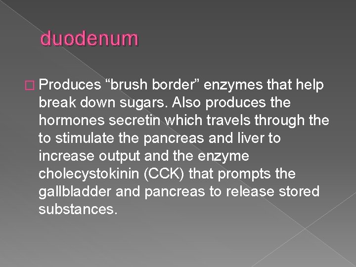 duodenum � Produces “brush border” enzymes that help break down sugars. Also produces the
