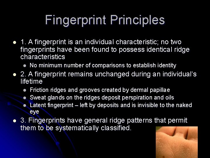 Fingerprint Principles l 1. A fingerprint is an individual characteristic; no two fingerprints have