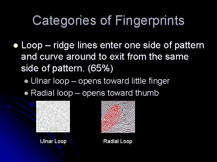 Categories of Fingerprints l Loop – ridge lines enter one side of pattern and