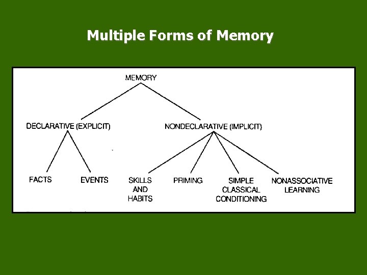 Multiple Forms of Memory 