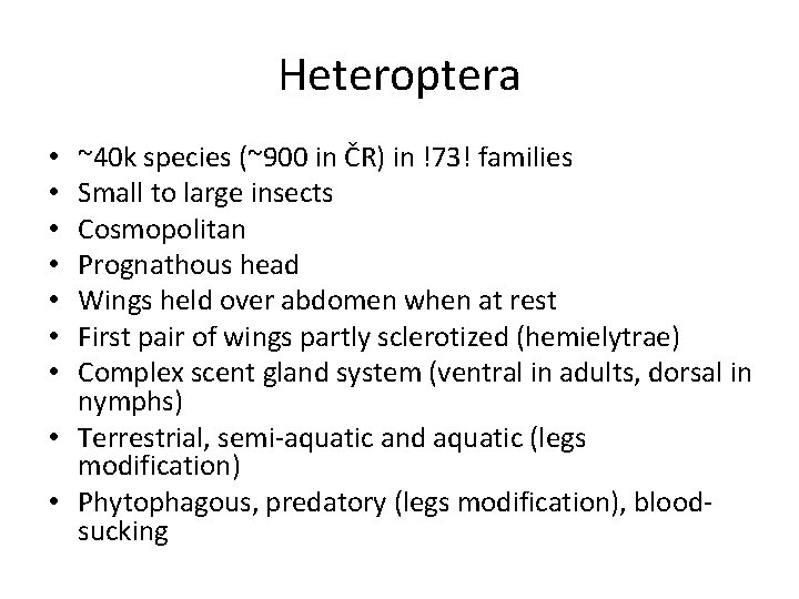 Heteroptera ~40 k species (~900 in ČR) in !73! families Small to large insects