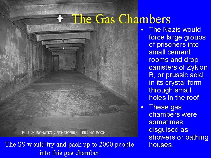 The Gas Chambers The SS would try and pack up to 2000 people into