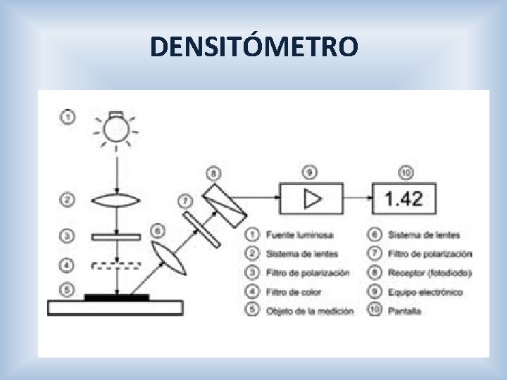 DENSITÓMETRO 