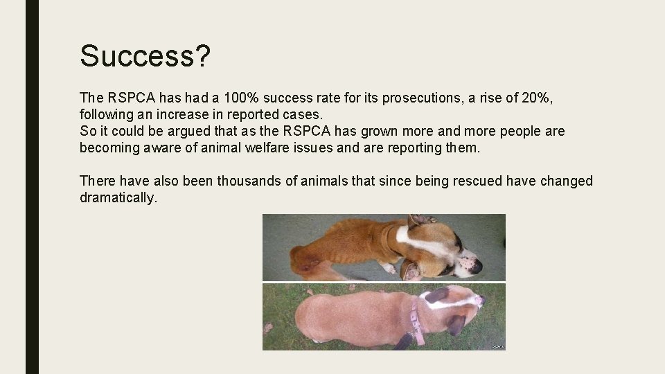 Success? The RSPCA has had a 100% success rate for its prosecutions, a rise