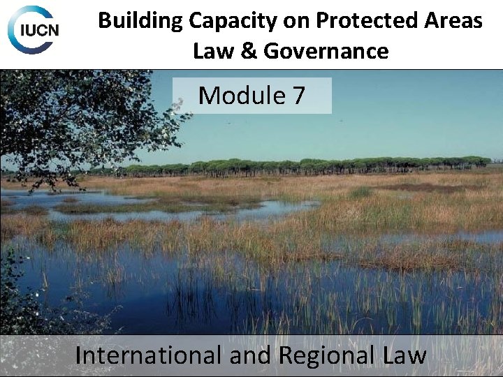 Building Capacity on Protected Areas Law & Governance Module 7 International and Regional Law