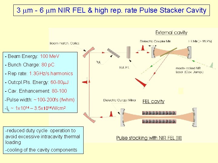 Ultrashort few cycles Pulse Generation in IRTHz FELs