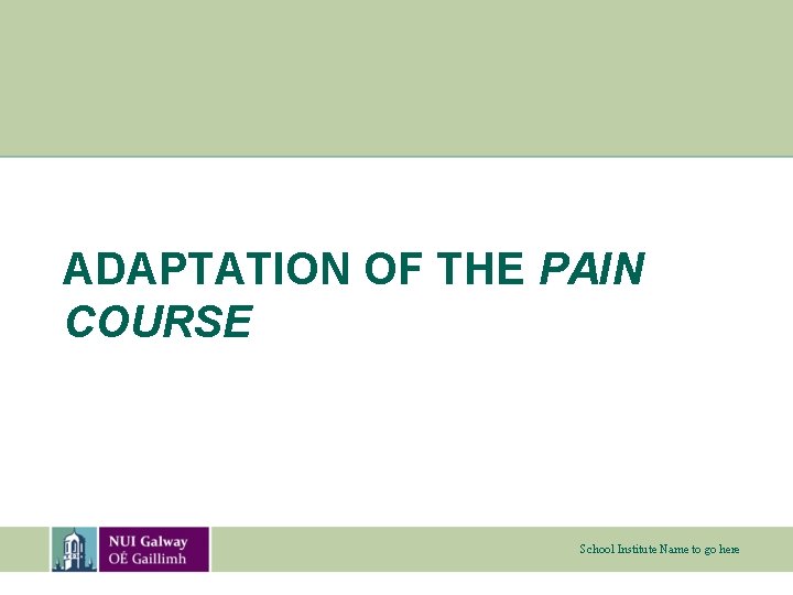 ADAPTATION OF THE PAIN COURSE School Institute Name to go here 