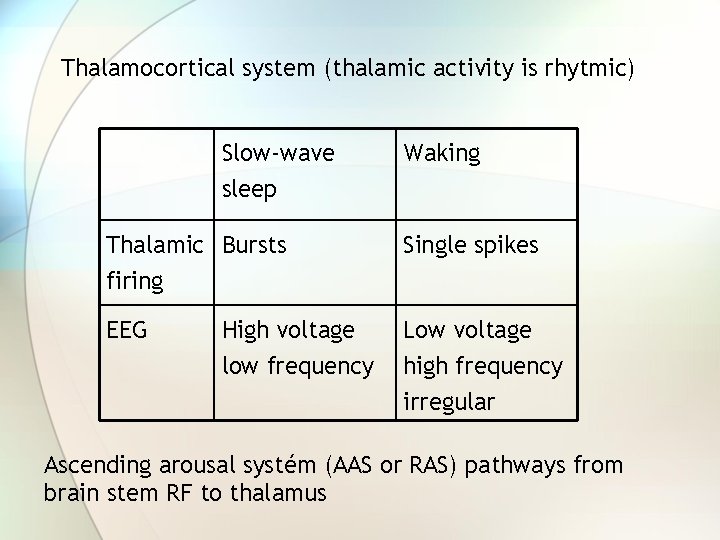 Thalamocortical system (thalamic activity is rhytmic) Slow-wave Waking sleep Thalamic Bursts Single spikes firing