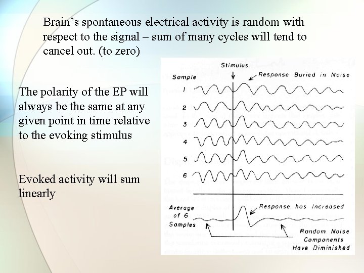 Brain’s spontaneous electrical activity is random with respect to the signal – sum of