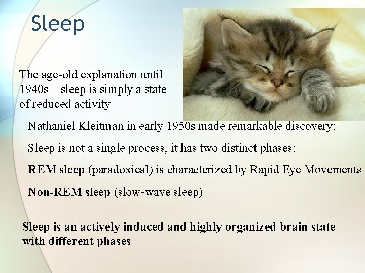 Sleep The age-old explanation until 1940 s – sleep is simply a state of